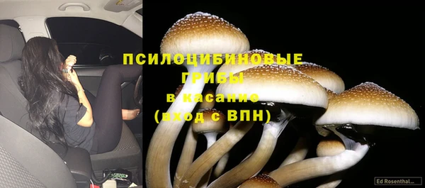 эйфоретик Покачи