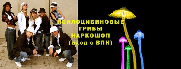 гашик Покровск
