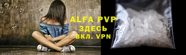 эйфоретик Покачи