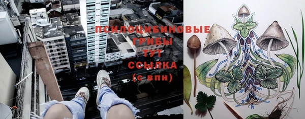 дживик Протвино