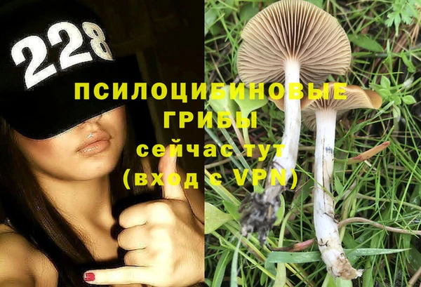 твердый Пролетарск